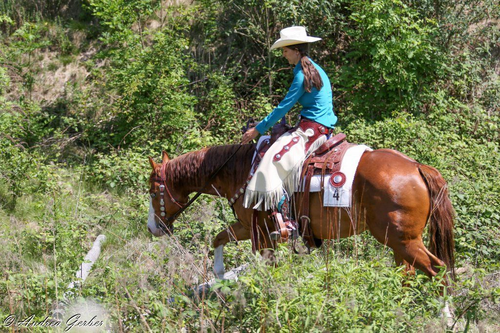 Swiss Ranch Horse Association - SRHA