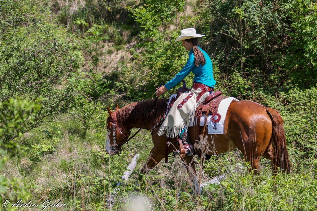 Swiss Ranch Horse Association - SRHA