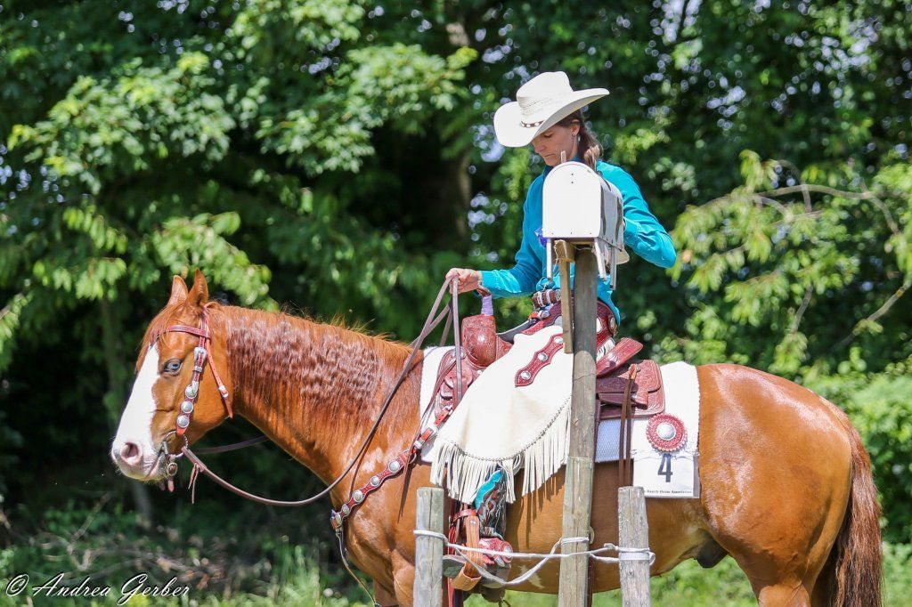Swiss Ranch Horse Association - SRHA