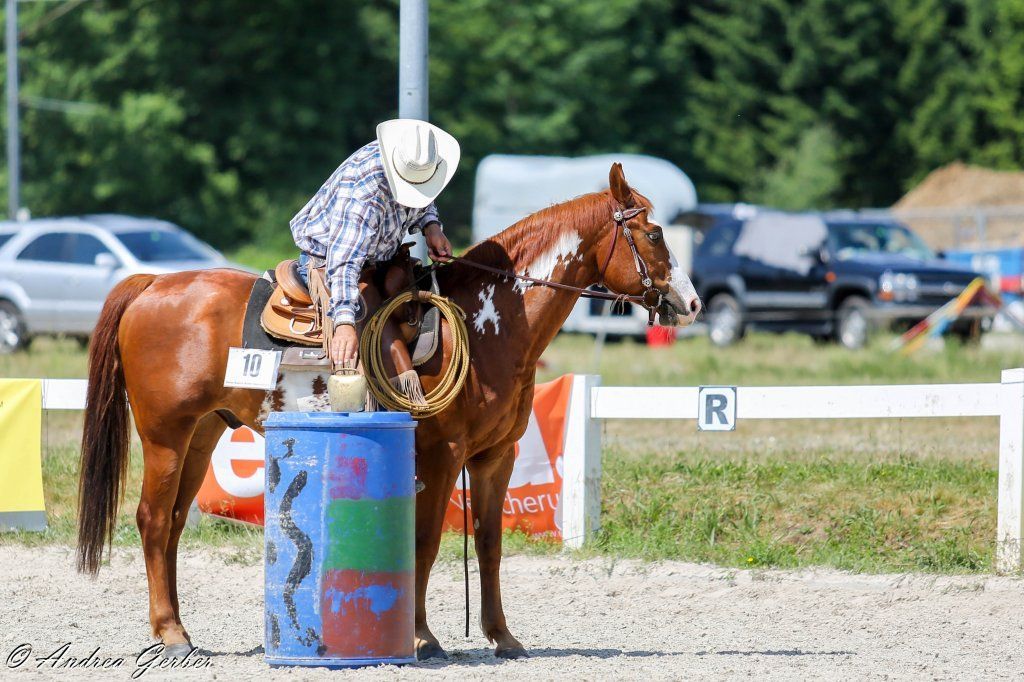 Swiss Ranch Horse Association - SRHA