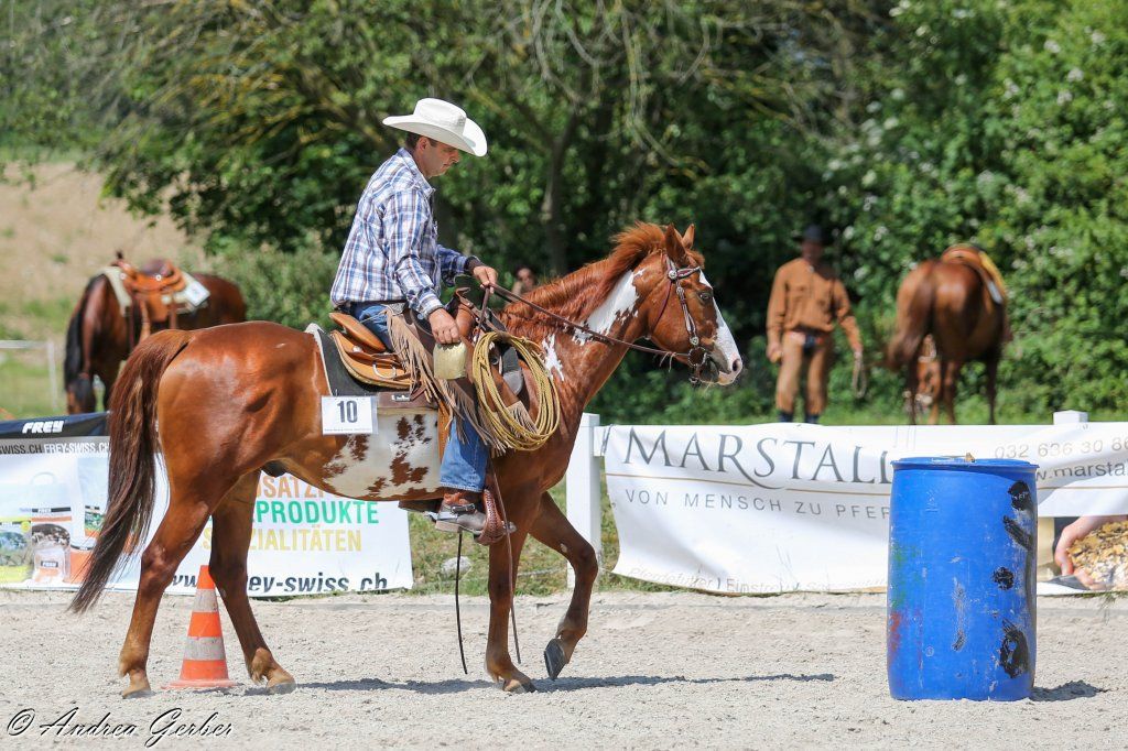 Swiss Ranch Horse Association - SRHA