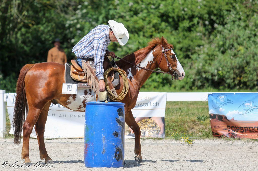 Swiss Ranch Horse Association - SRHA