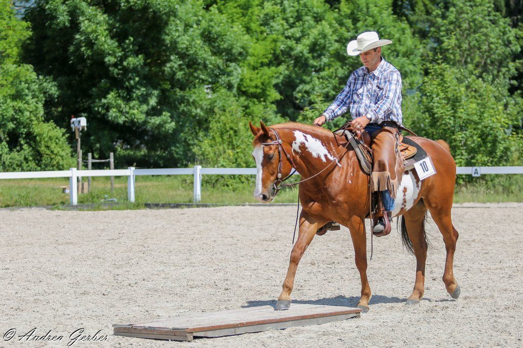 Swiss Ranch Horse Association - SRHA