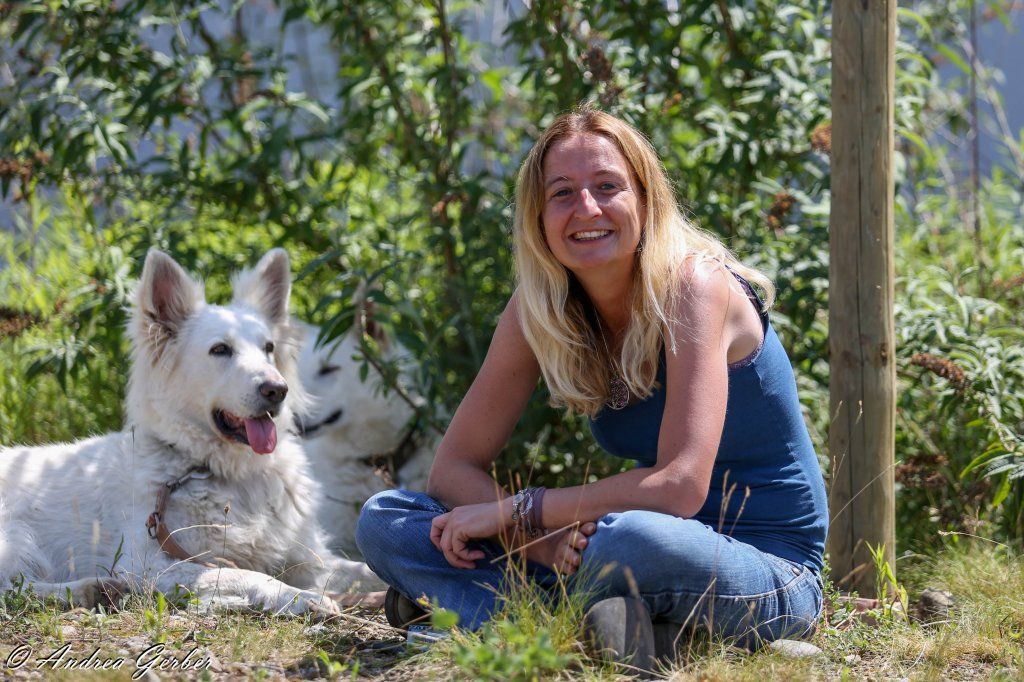 Swiss Ranch Horse Association - SRHA