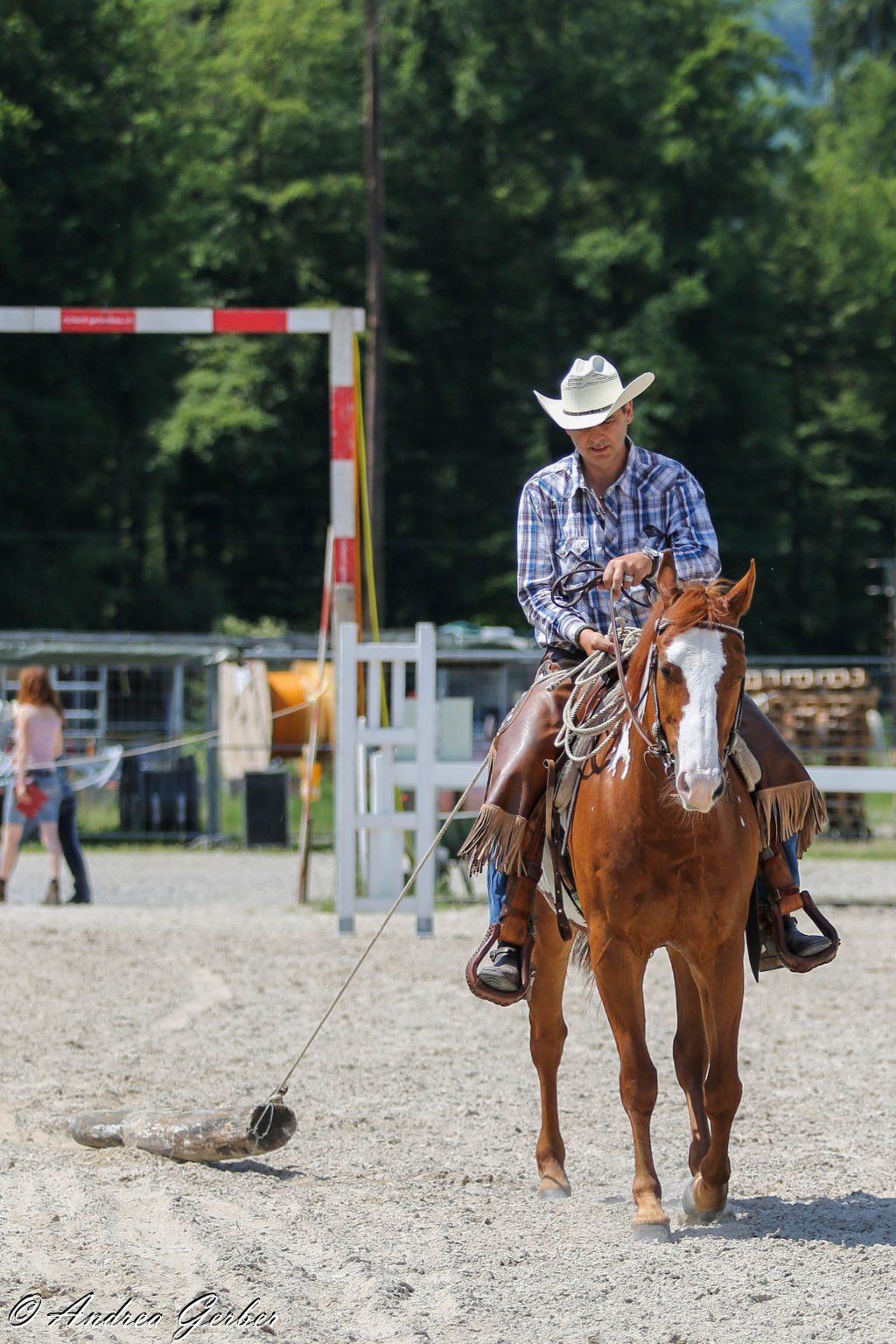Swiss Ranch Horse Association - SRHA