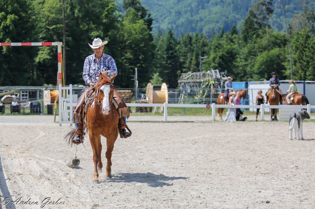 Swiss Ranch Horse Association - SRHA