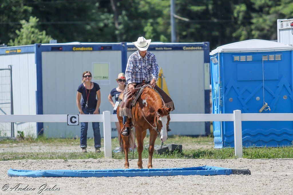 Swiss Ranch Horse Association - SRHA