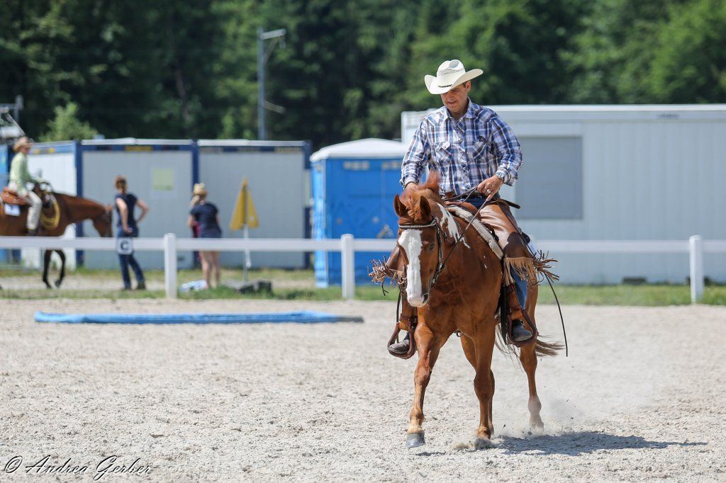 Swiss Ranch Horse Association - SRHA