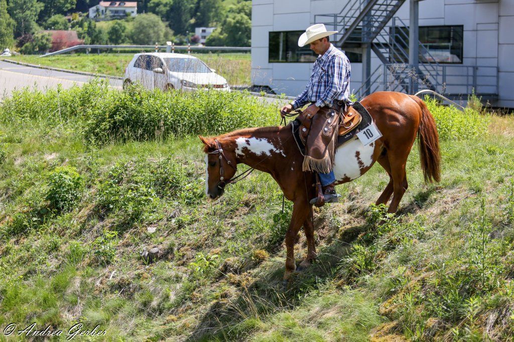 Swiss Ranch Horse Association - SRHA
