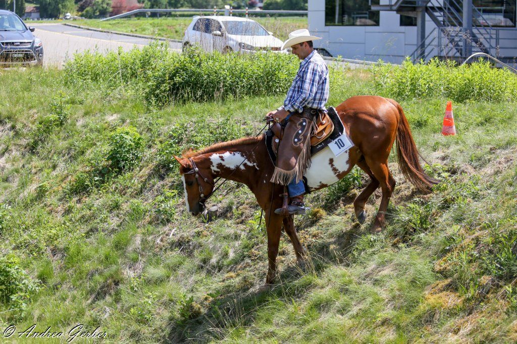 Swiss Ranch Horse Association - SRHA