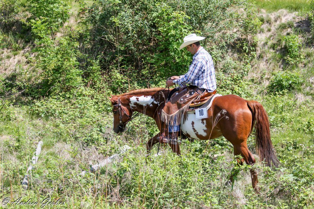Swiss Ranch Horse Association - SRHA