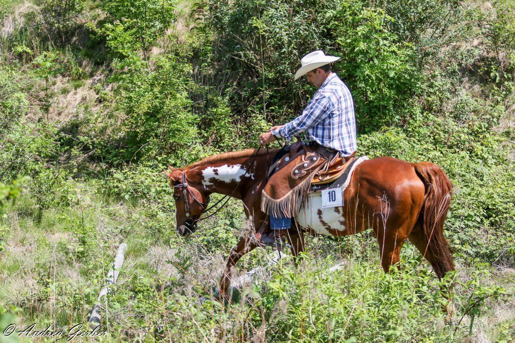 Swiss Ranch Horse Association - SRHA