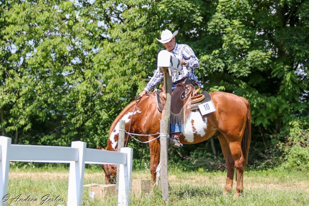Swiss Ranch Horse Association - SRHA