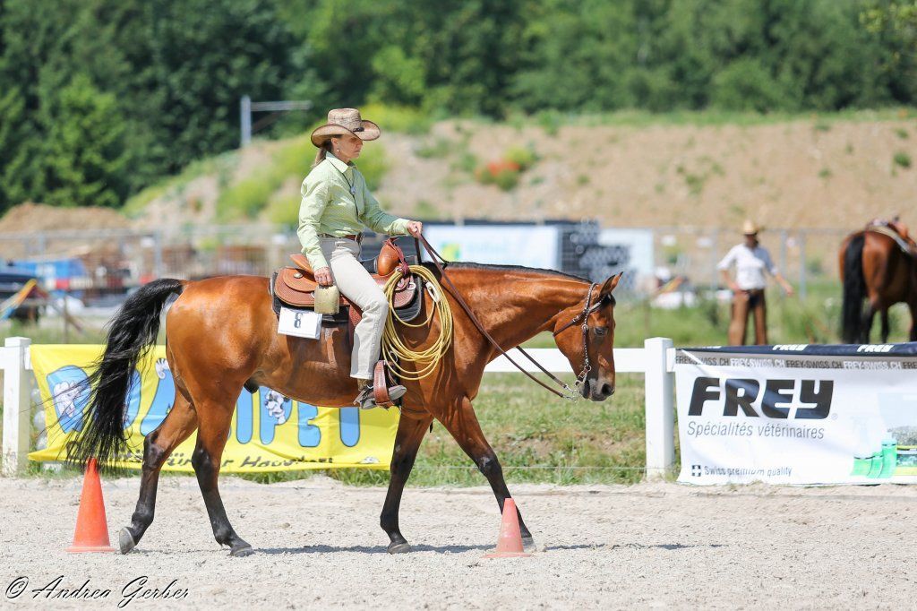 Swiss Ranch Horse Association - SRHA