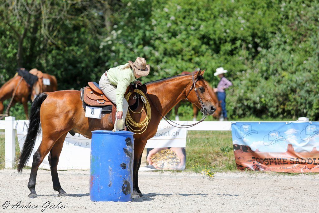 Swiss Ranch Horse Association - SRHA