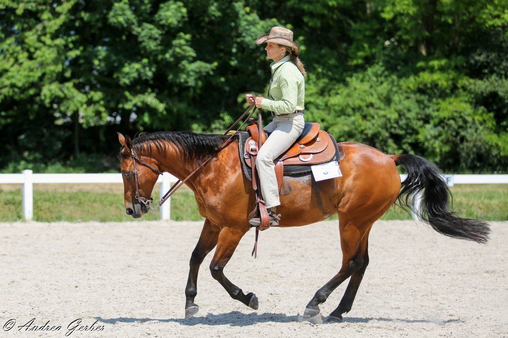 Swiss Ranch Horse Association - SRHA