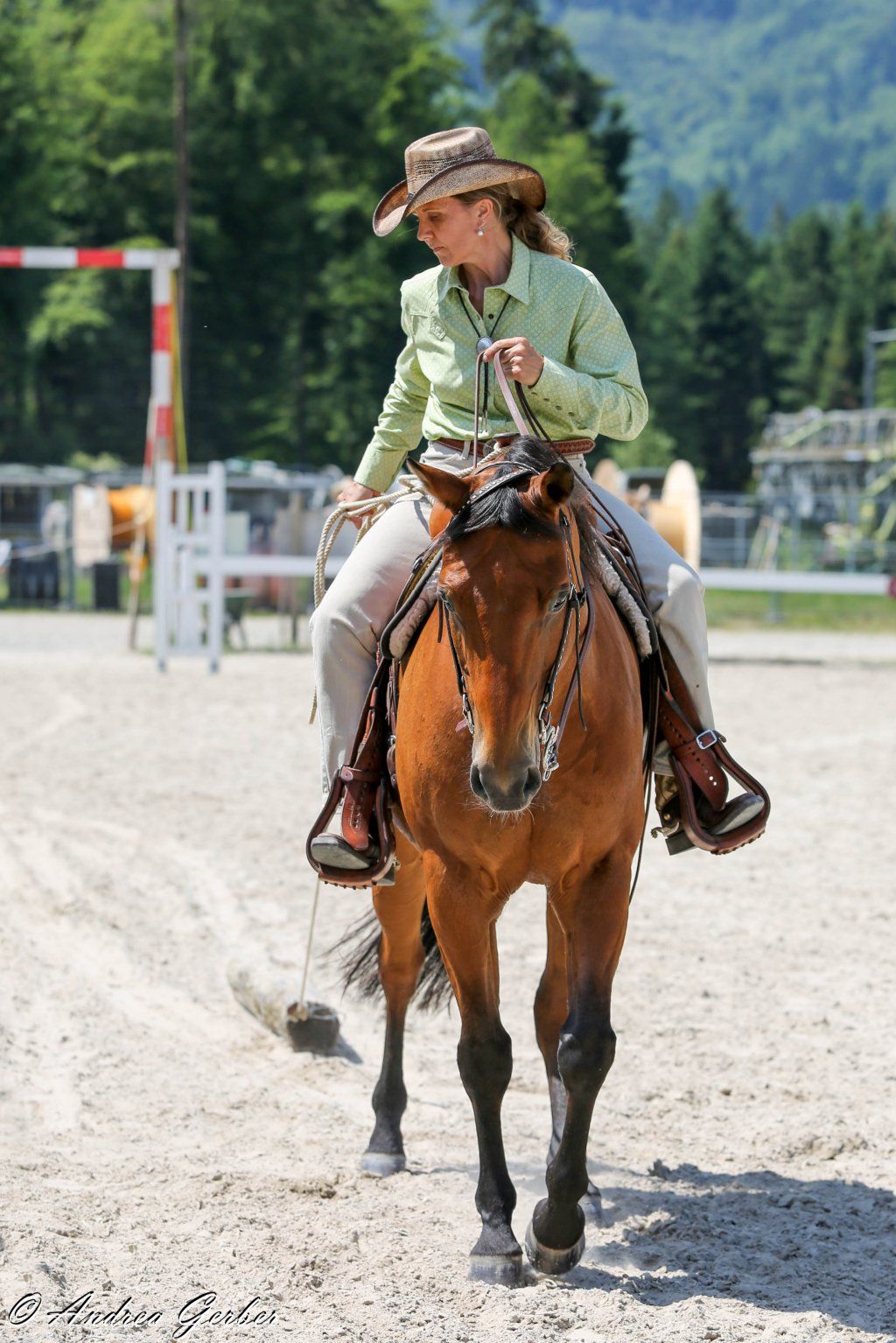 Swiss Ranch Horse Association - SRHA