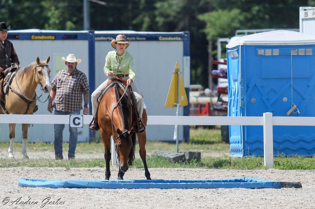Swiss Ranch Horse Association - SRHA