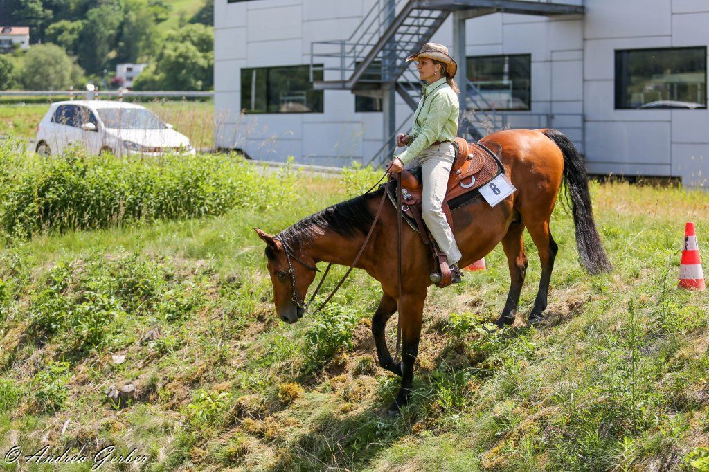 Swiss Ranch Horse Association - SRHA