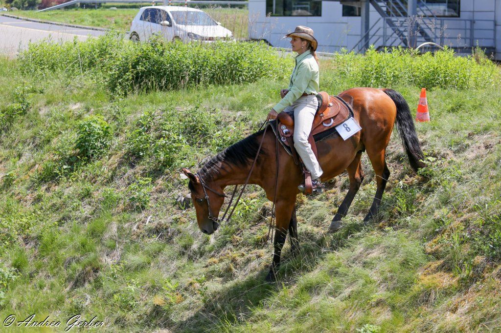 Swiss Ranch Horse Association - SRHA