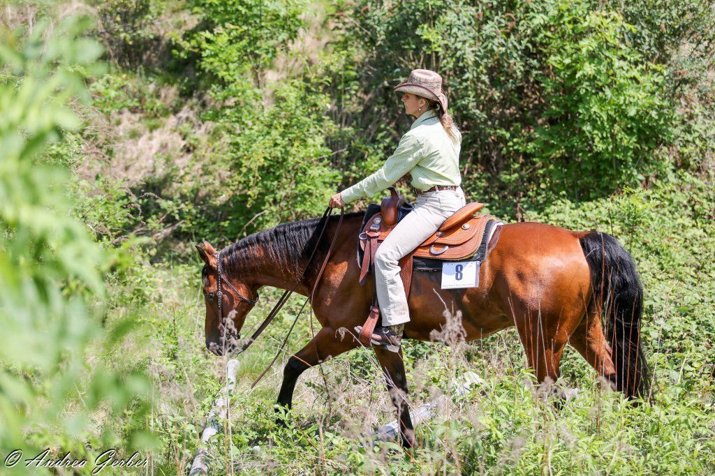 Swiss Ranch Horse Association - SRHA
