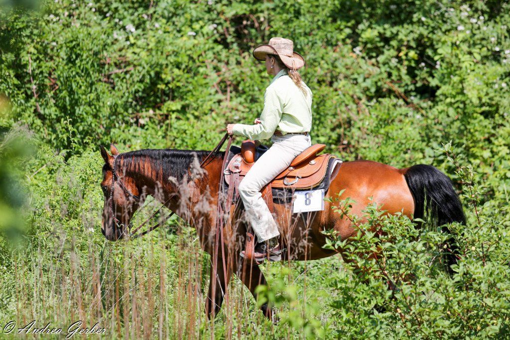 Swiss Ranch Horse Association - SRHA