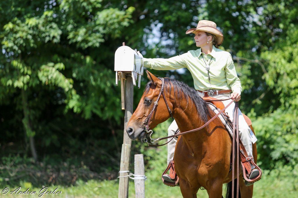 Swiss Ranch Horse Association - SRHA