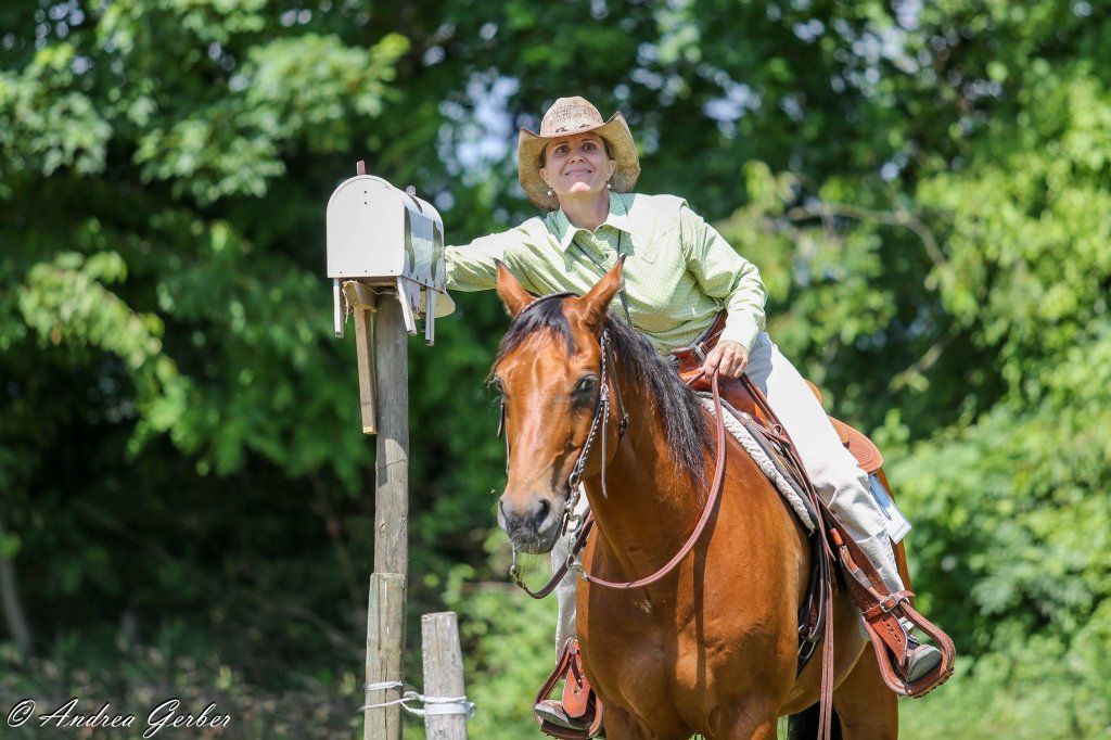 Swiss Ranch Horse Association - SRHA