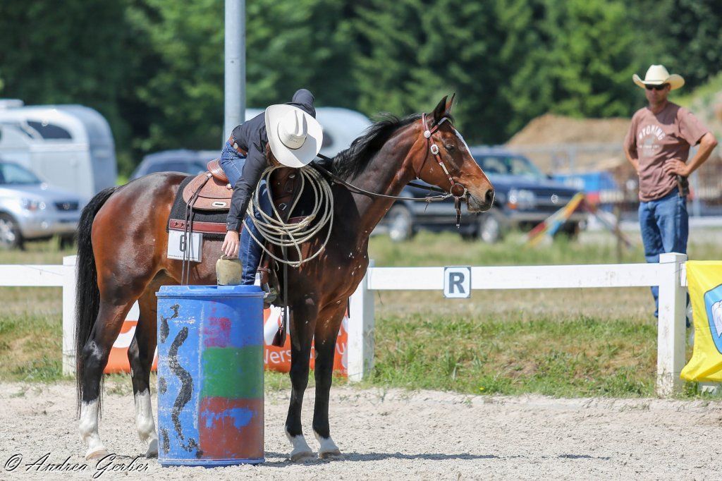 Swiss Ranch Horse Association - SRHA