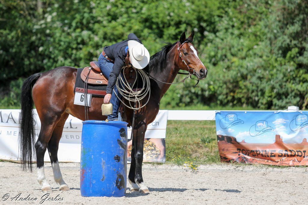 Swiss Ranch Horse Association - SRHA