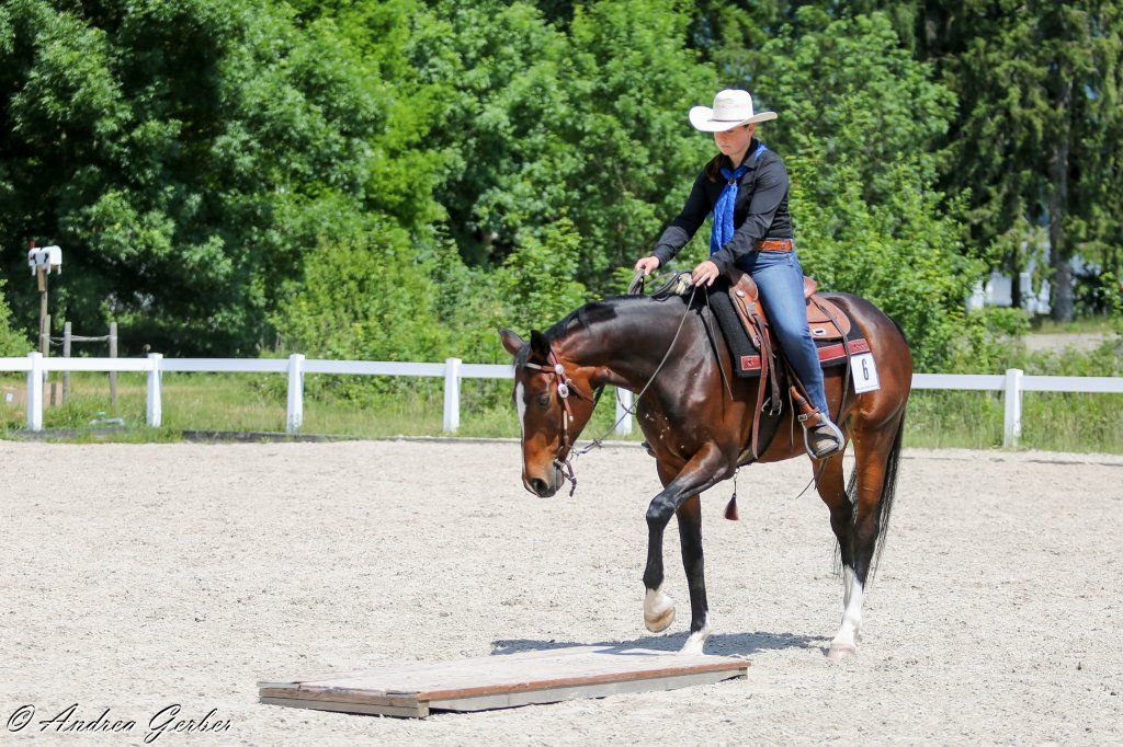 Swiss Ranch Horse Association - SRHA