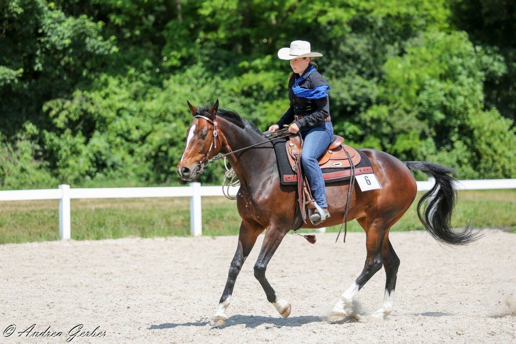 Swiss Ranch Horse Association - SRHA