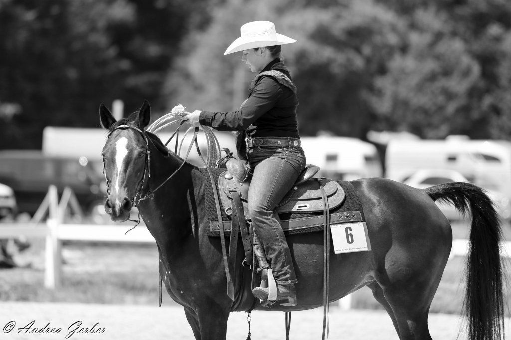 Swiss Ranch Horse Association - SRHA