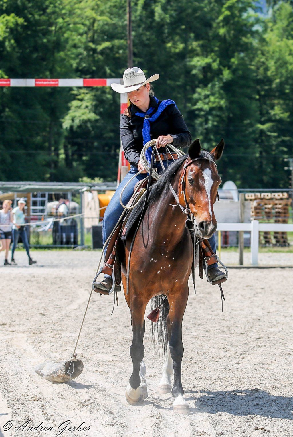 Swiss Ranch Horse Association - SRHA