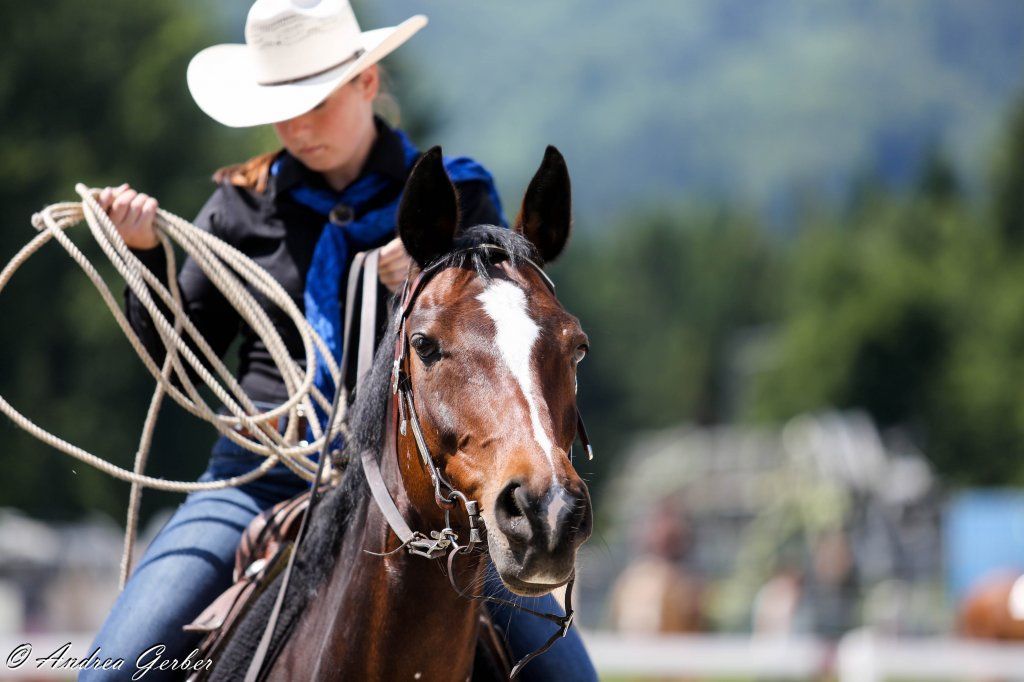 Swiss Ranch Horse Association - SRHA