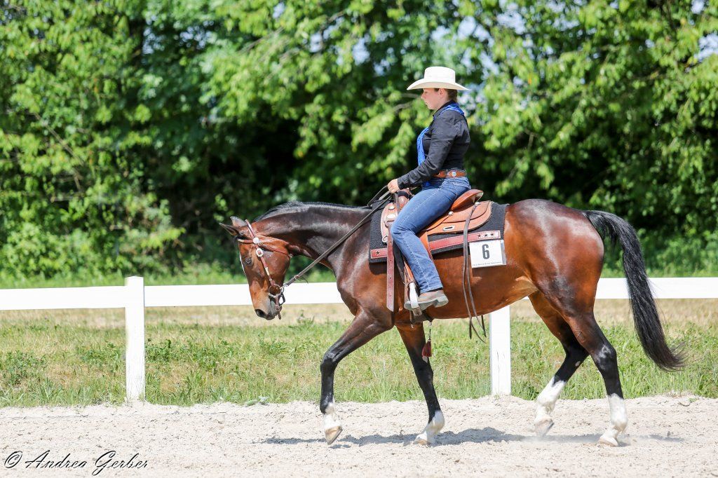 Swiss Ranch Horse Association - SRHA