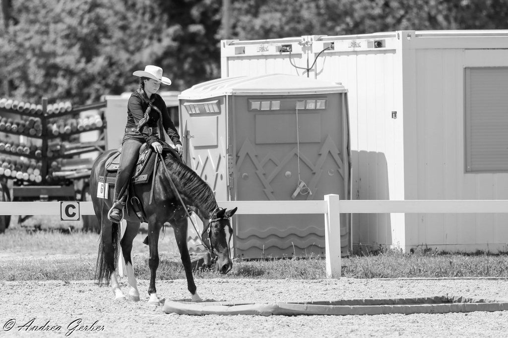 Swiss Ranch Horse Association - SRHA