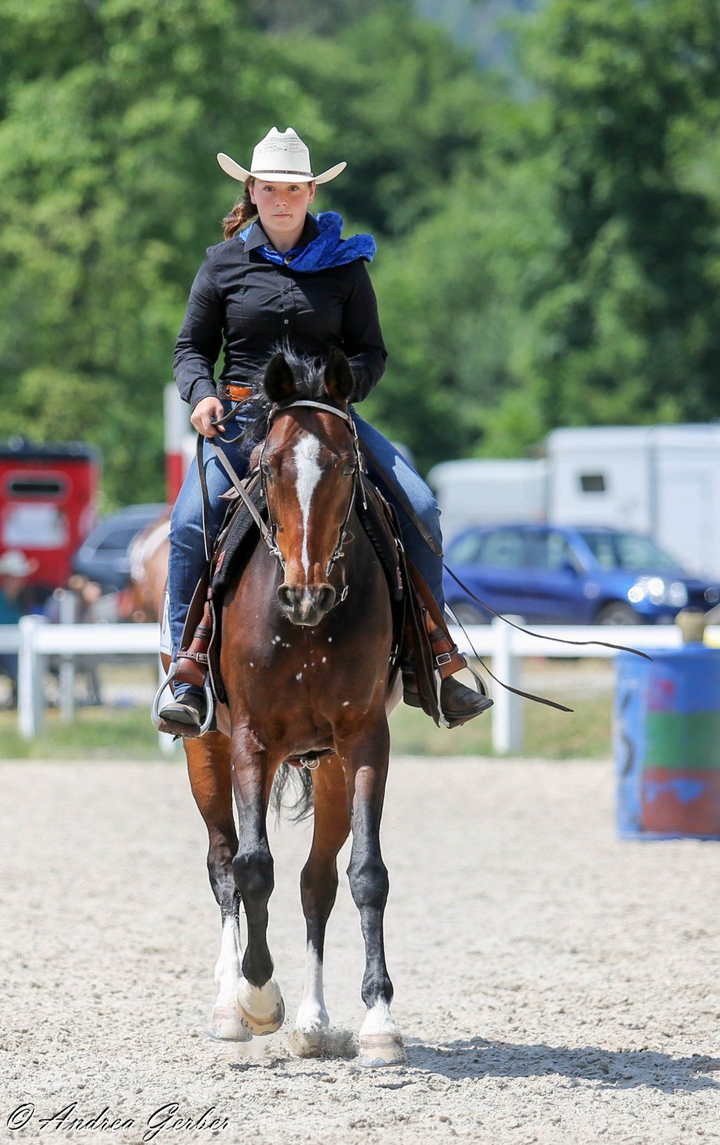 Swiss Ranch Horse Association - SRHA