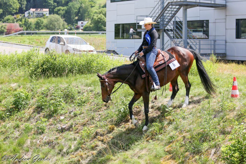 Swiss Ranch Horse Association - SRHA