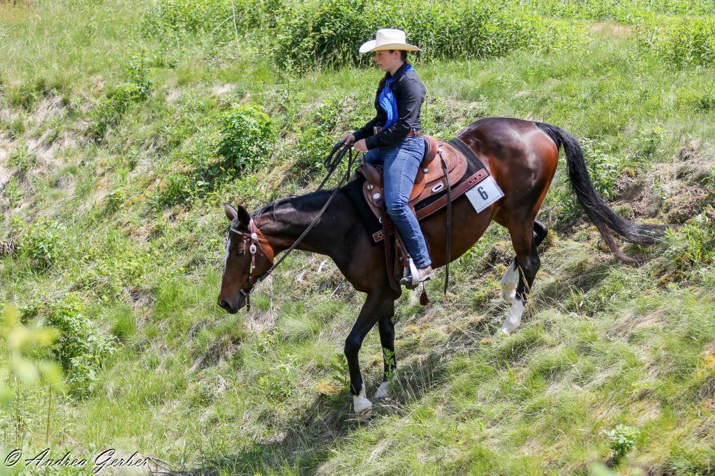 Swiss Ranch Horse Association - SRHA