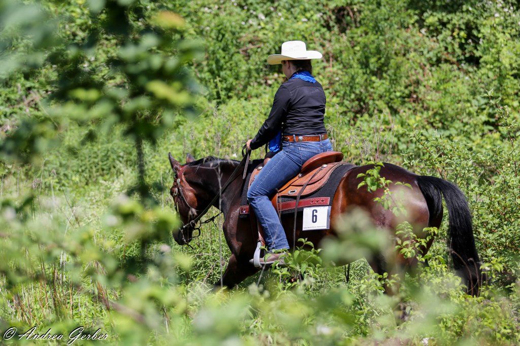Swiss Ranch Horse Association - SRHA