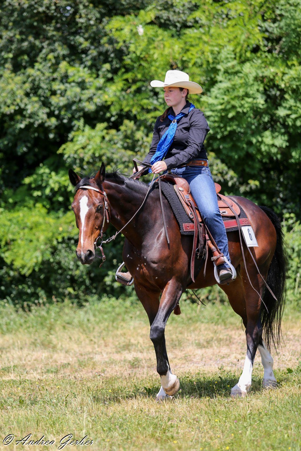 Swiss Ranch Horse Association - SRHA