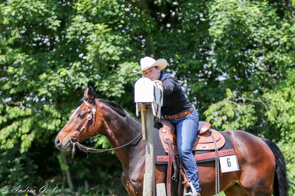 Swiss Ranch Horse Association - SRHA