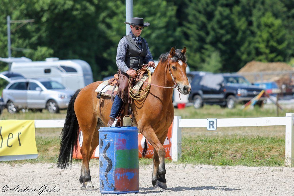Swiss Ranch Horse Association - SRHA