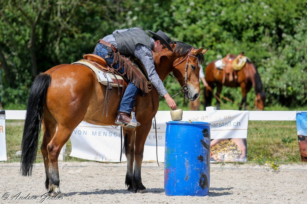 Swiss Ranch Horse Association - SRHA