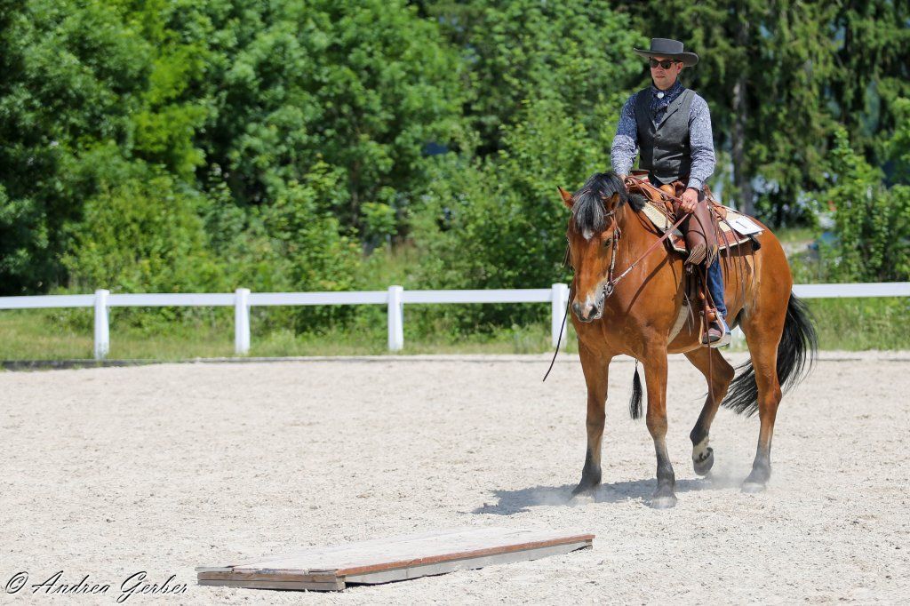 Swiss Ranch Horse Association - SRHA