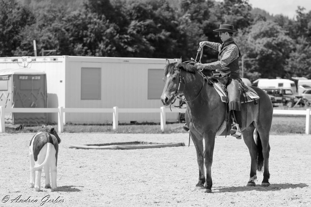 Swiss Ranch Horse Association - SRHA