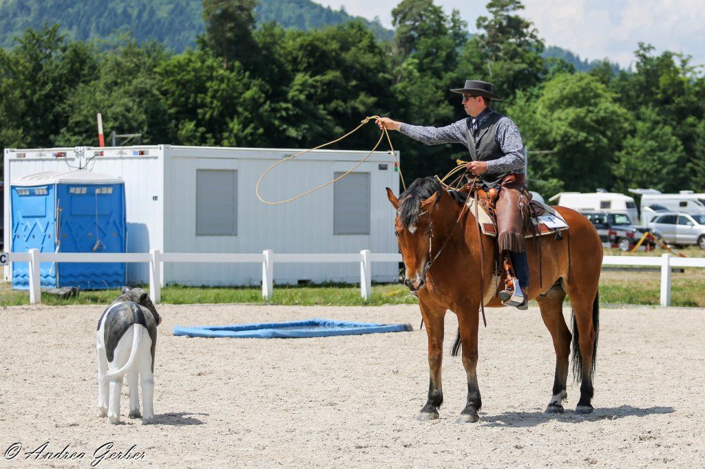 Swiss Ranch Horse Association - SRHA