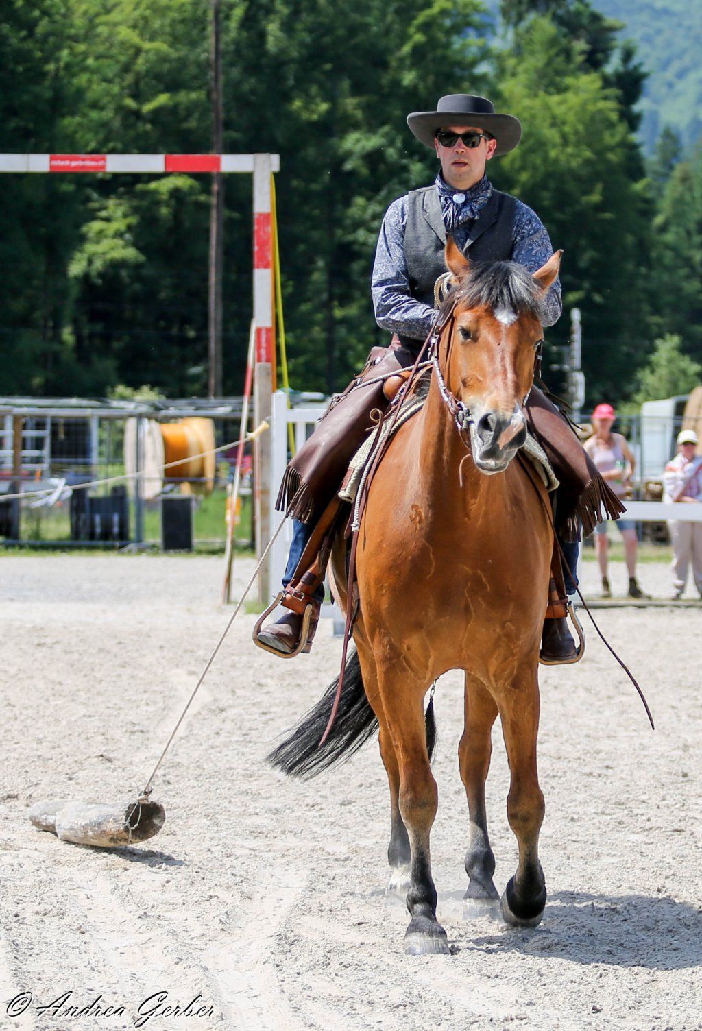 Swiss Ranch Horse Association - SRHA