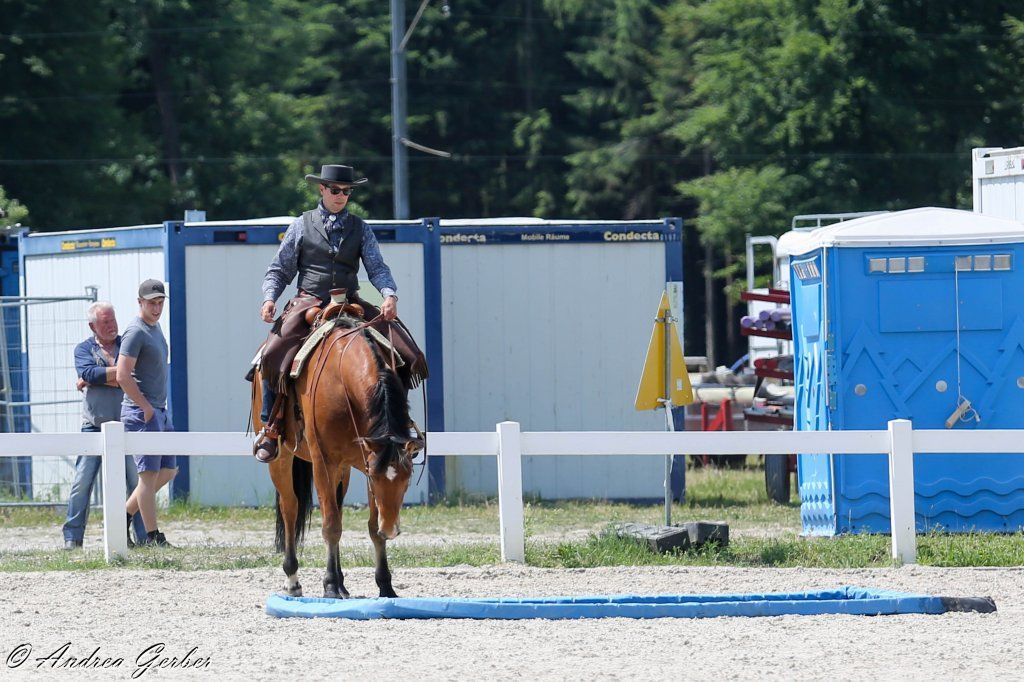 Swiss Ranch Horse Association - SRHA